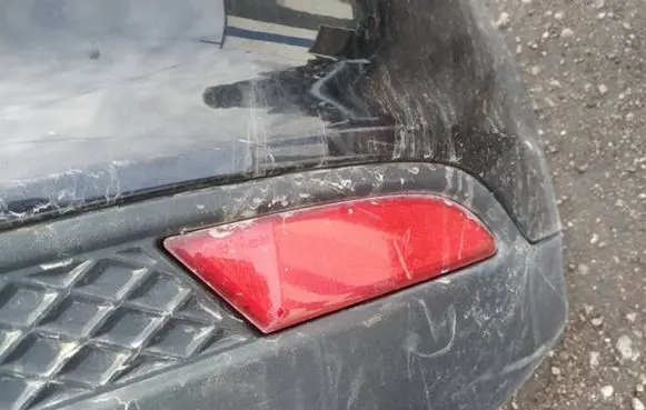 Ford Focus Rear tail light reflector