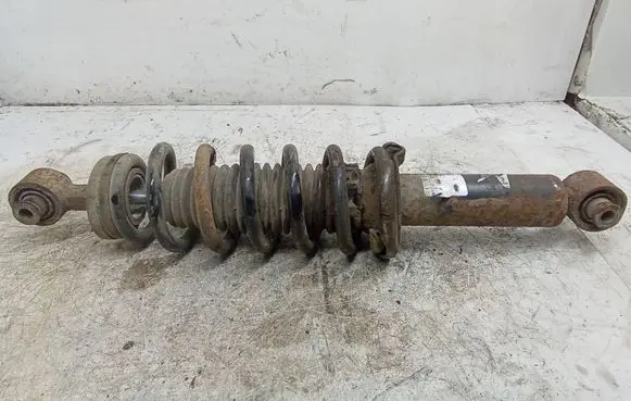 Peugeot 407 Rear shock absorber with coil spring 