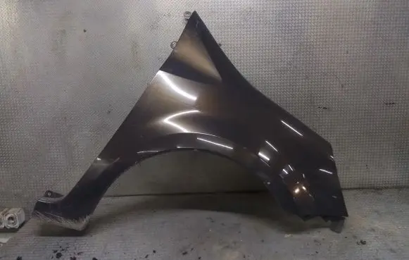 Renault Modus Fender