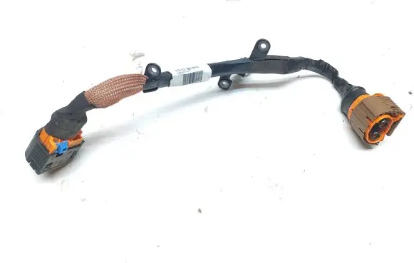 Renault Kangoo II Other wiring loom 296955099R
