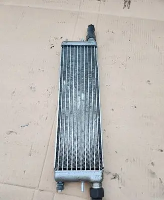 Mercedes-Benz S W140 Engine oil radiator 1405000000