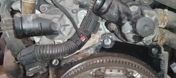 Volkswagen Golf Plus Engine coolant pipe/hose