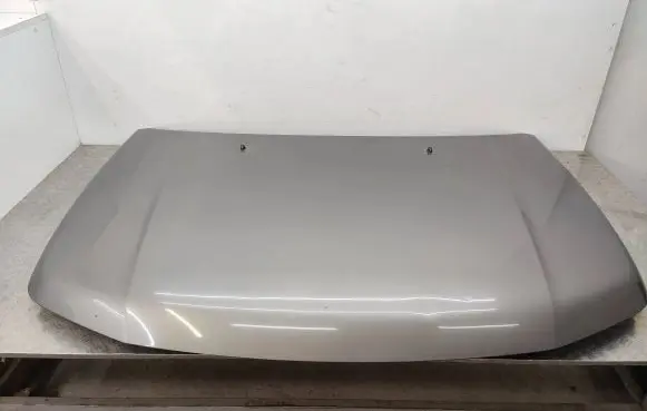 Suzuki Grand Vitara II Engine bonnet/hood