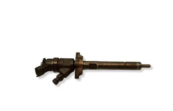 Citroen Berlingo Fuel injector 0445110311