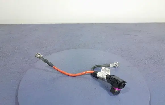 Other wiring loom