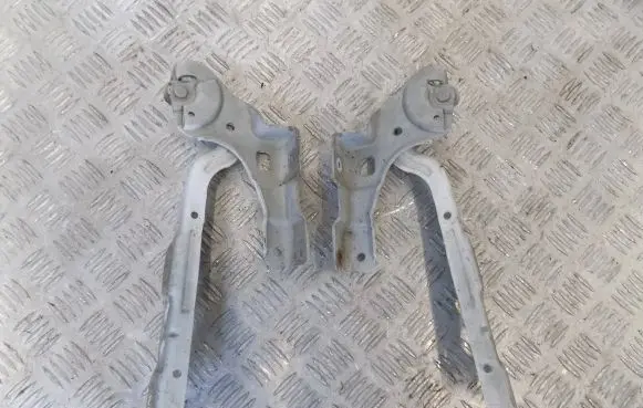 Citroen C4 II Engine bonnet/hood hinges