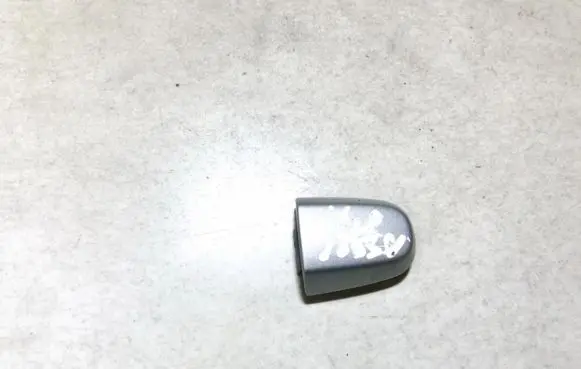 Toyota RAV 4 (XA30) Loading door cover/cap 