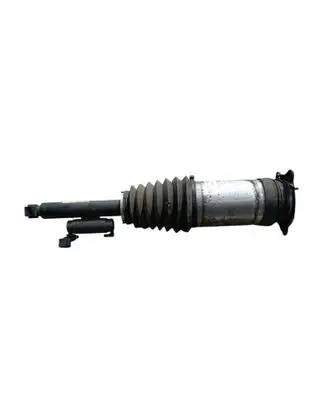 Rear shock absorber/damper