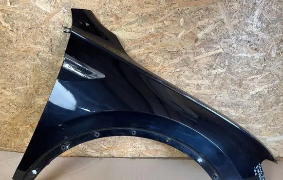 Volkswagen Tiguan Fender 5NA821106B