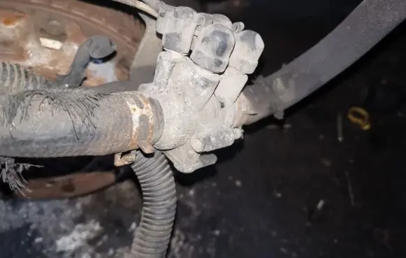 Citroen Berlingo Engine coolant pipe/hose