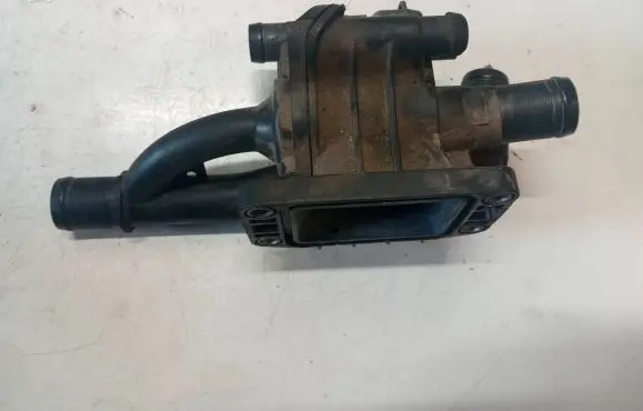 Thermostat/thermostat housing