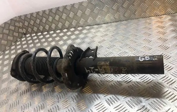 Seat Altea Front shock absorber/damper 1T0413031