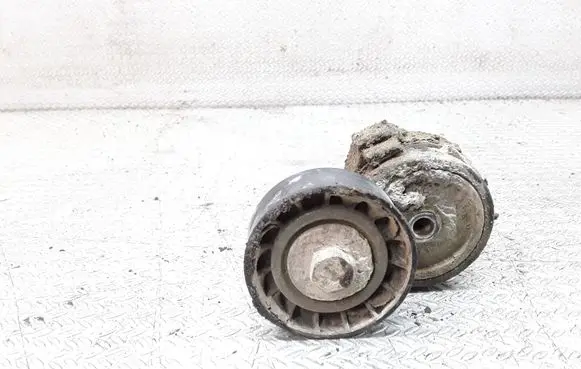 Iveco Daily 35 - 40.10 Generator/alternator belt tensioner