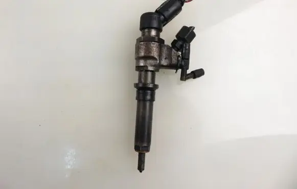 Peugeot Partner Fuel injector 9636819380