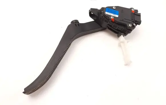 Volkswagen Touareg I Accelerator throttle pedal 7L6723507H 6PV007770
