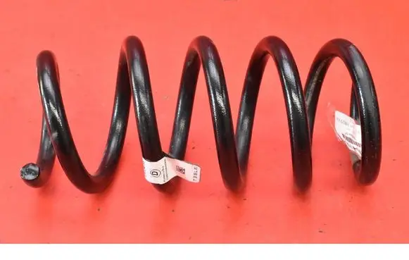 Tesla Model Y Rear coil spring 228847400A