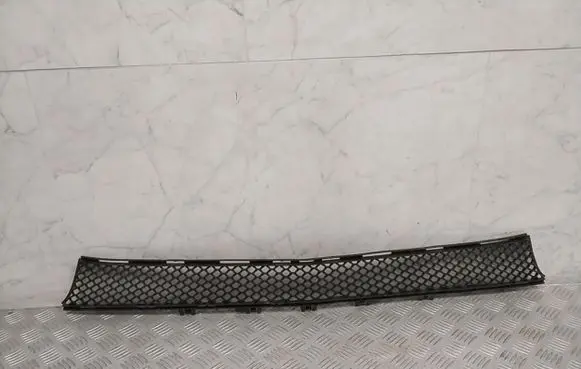 Mercedes-Benz E W213 Front bumper lower grill A2138850622