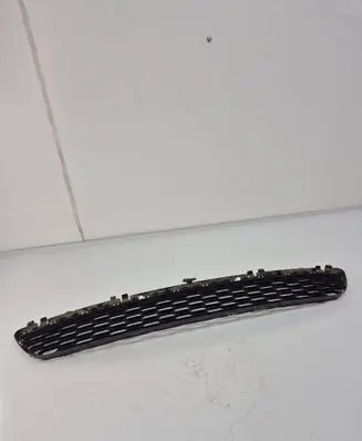 BMW 5 G30 G31 G38 Front bumper lower grill 8064930