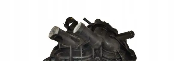 Thermostat/thermostat housing