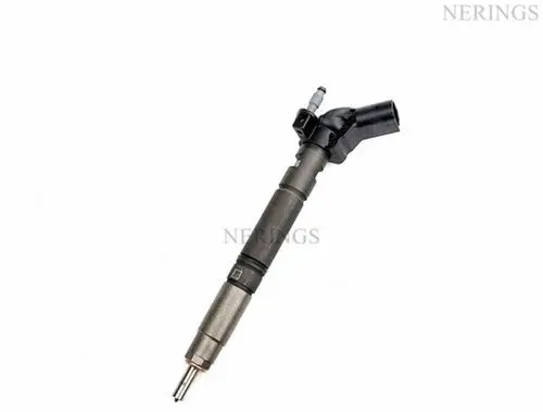 Audi A8 S8 D5 Fuel injector 0445118032 0445118031
