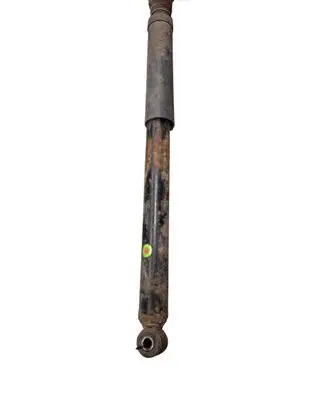 Ford Focus C-MAX Rear shock absorber/damper