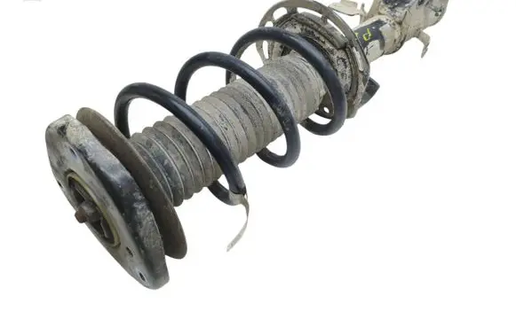 Ford Escape IV Front shock absorber with coil spring LX6118045NEF