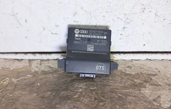 Volkswagen PASSAT B6 Gateway control module 3C0907530M 3C0907951
