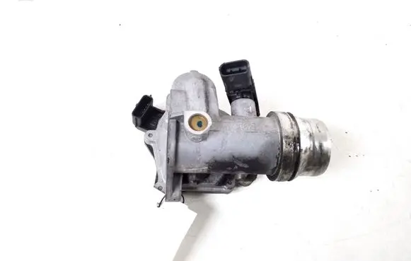 Renault Kadjar Throttle valve 161A09287R