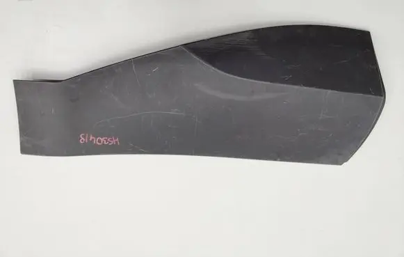 Toyota C-HR II Rear door trim (molding) 75077F4060