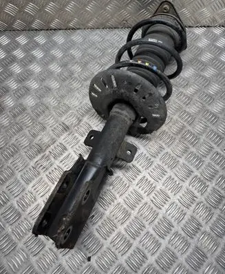 Opel Grandland X Front shock absorber/damper 9819718680