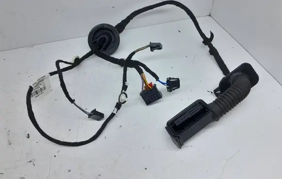 Cupra Formentor Rear door wiring loom 5FA971161F 67129236