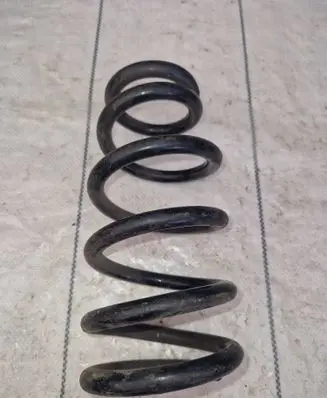 Rear coil spring