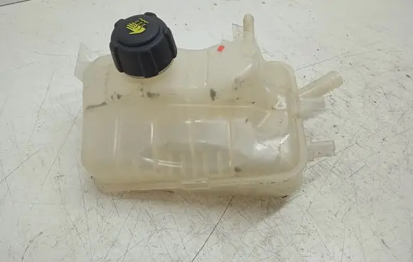 Renault Scenic III - Grand scenic III Coolant expansion tank/reservoir 217100005R