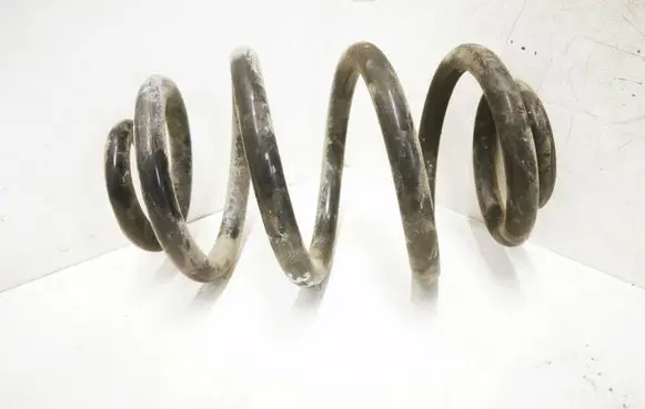 Rear coil spring