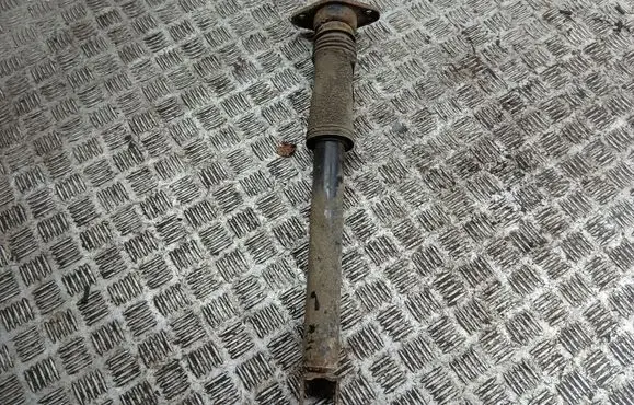 Rear shock absorber/damper