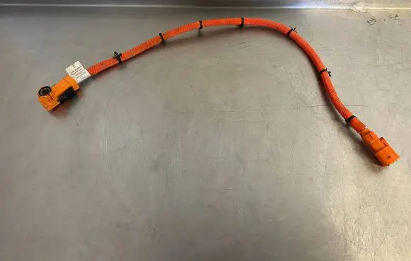 Porsche Taycan 9J1 Other wiring loom 9J1971008A