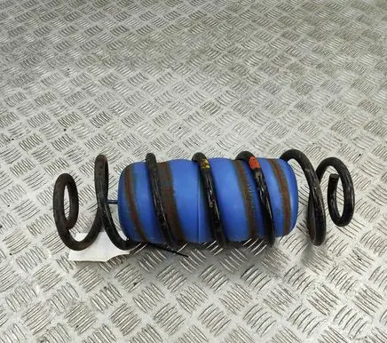 Chevrolet TrailBlazer Rear coil spring 15948009