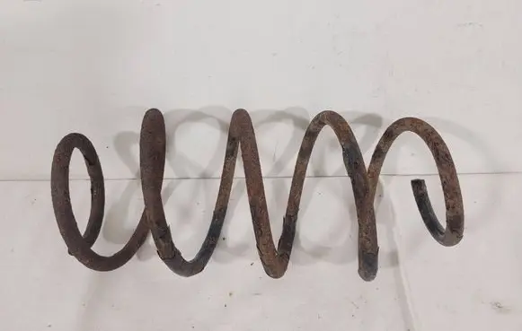 Volkswagen Golf V Front coil spring 