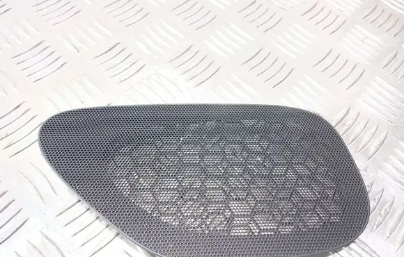 Side speaker trim/cover