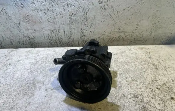 Fiat Doblo Power steering pump 51729535 761955535 318108080