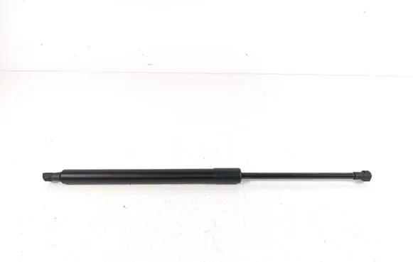 Tailgate strut