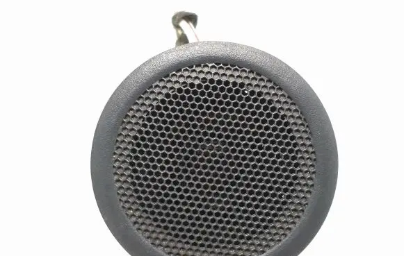Front door high frequency speaker