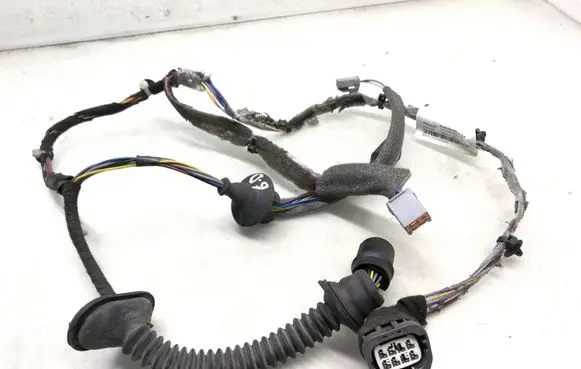 Rear door wiring loom