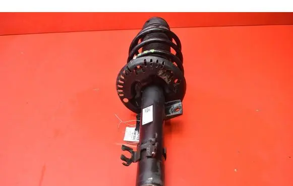 Skoda Rapid (NH) Front shock absorber/damper 6R0413031BF