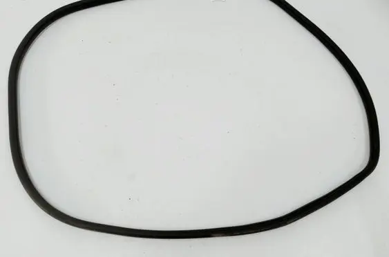 Hyundai Kona II Front door rubber seal