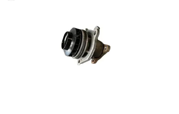 Renault Master III Water pump 352316171002