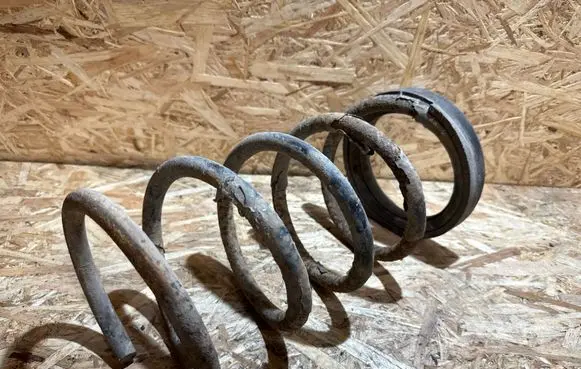 Rear coil spring