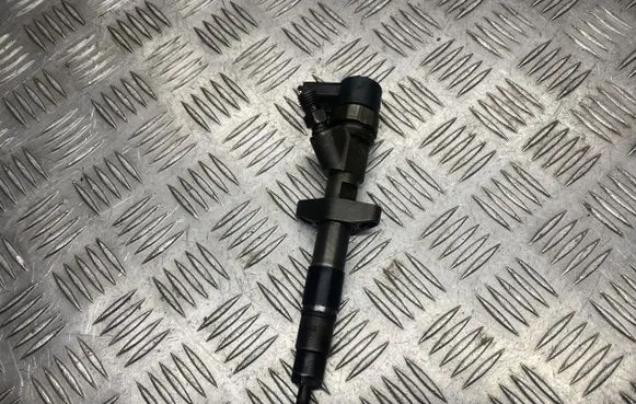 Renault Espace - Grand espace IV Fuel injector 8200084534 8200084532