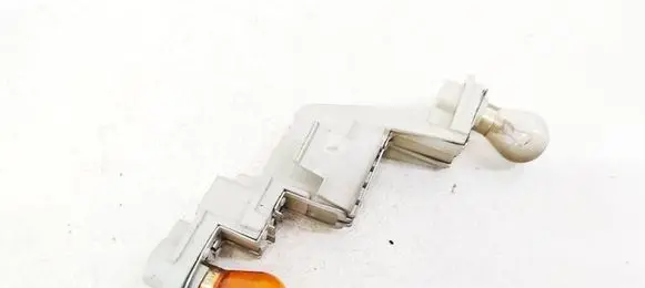 Tail light bulb cover holder