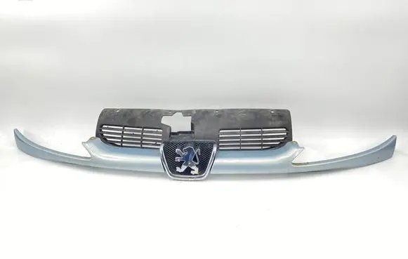 Peugeot 206 CC Front grill 9628934280